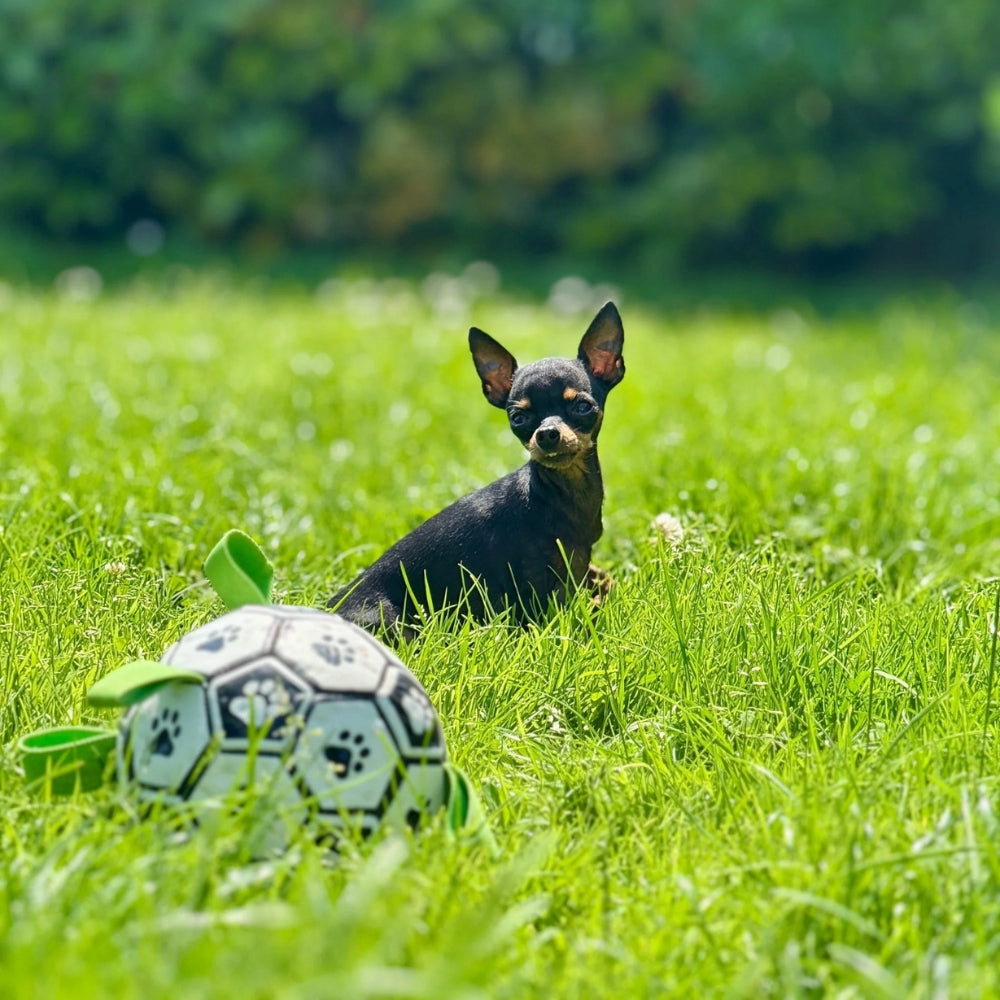 Palla per Cani Ultra Resistente