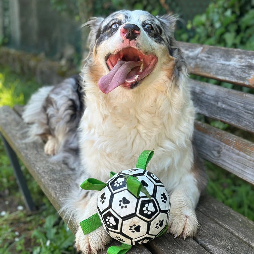 Palla per Cani Ultra Resistente